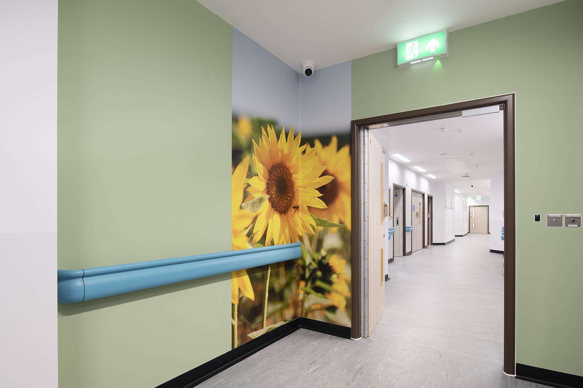 Photo of the inside of a corridor. The walls are a pale green and there is a large art print of some sunflowers on the wall.